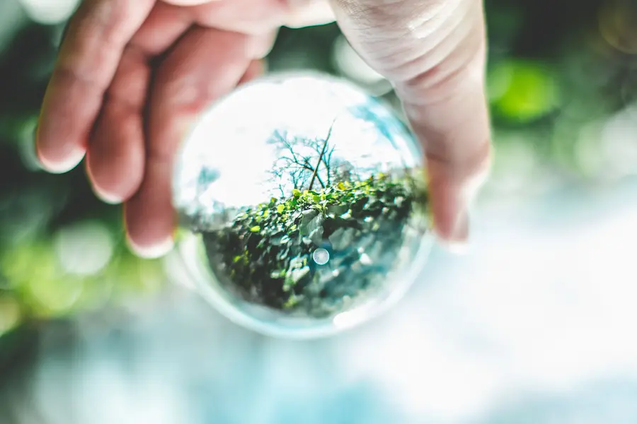 Global ESG Compliance and Litigation: Legal Insights for Cross Border Business